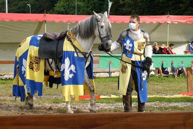 保罗和追梦 保罗和追梦