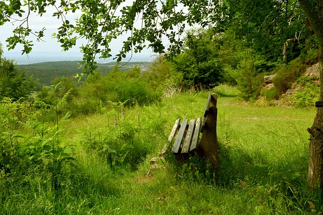 在这样的跨 在这样的跨