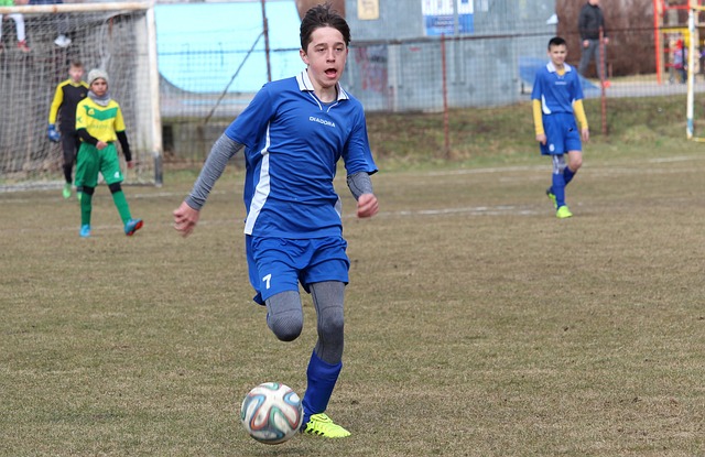 略提供了新 略提供了新